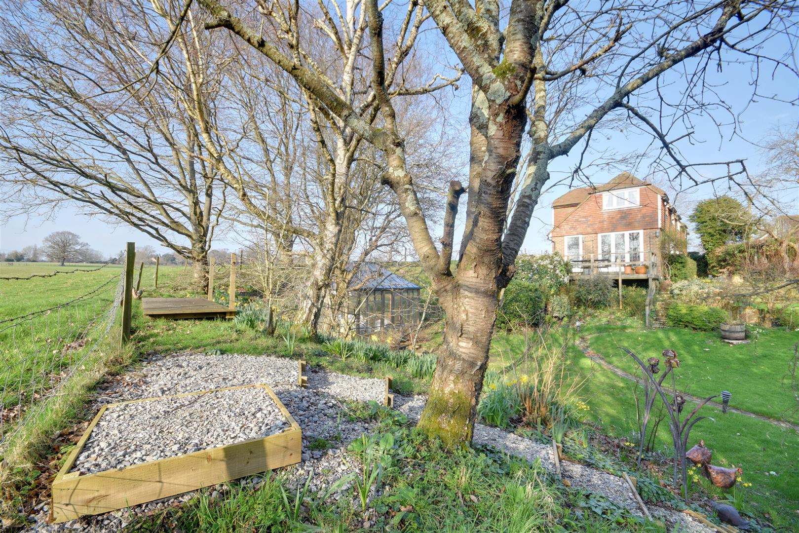 Ewhurst Lane, Northiam Rush, Witt & Wilson